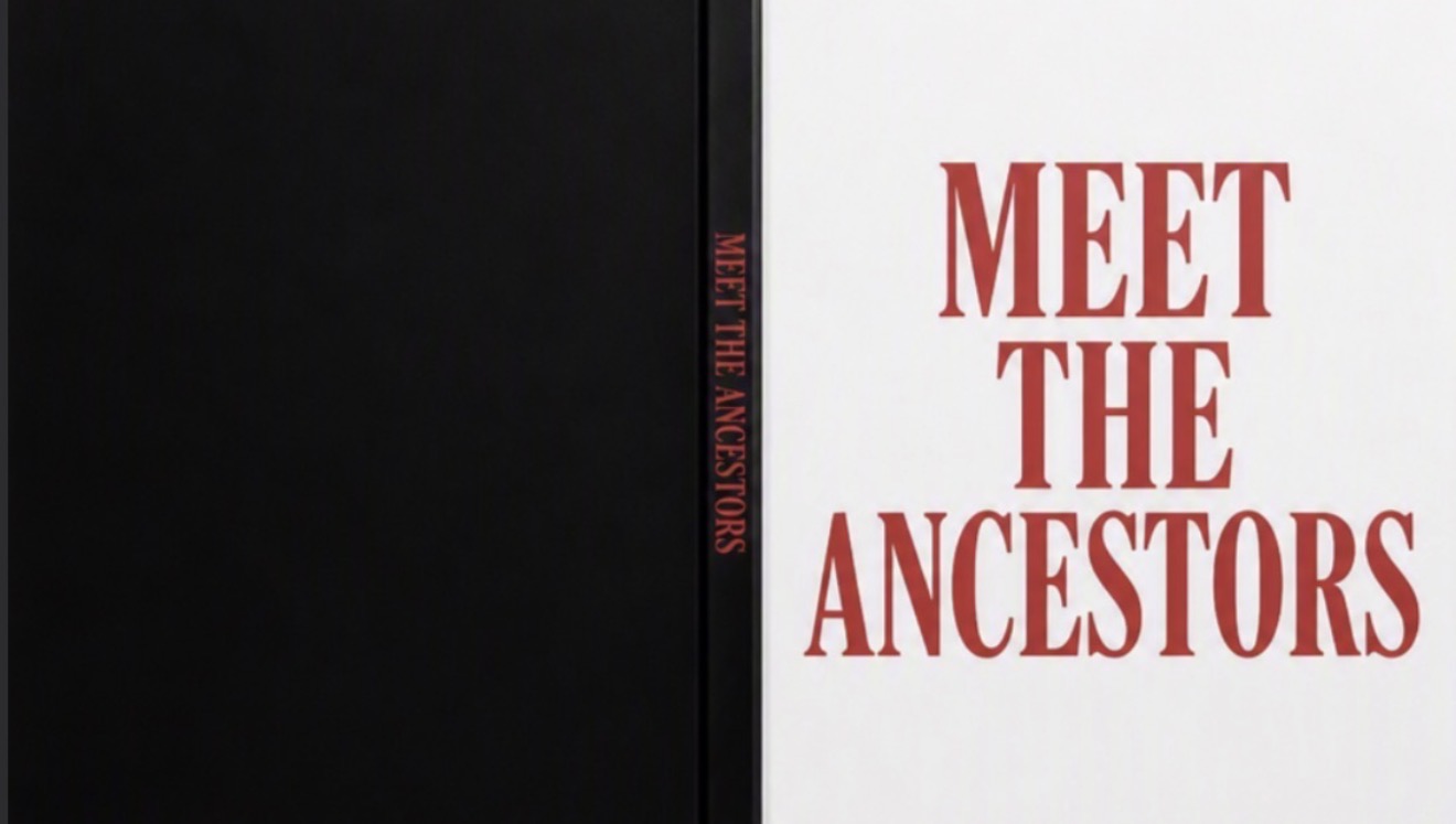 Meet the Ancestors: Bakulu book cover
